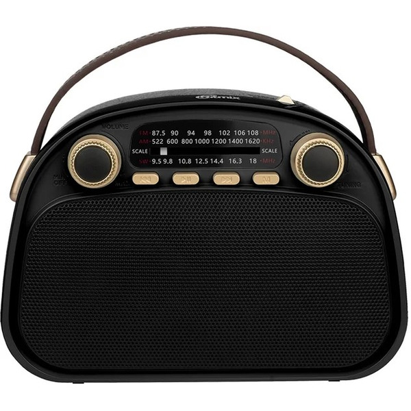 Радиоприёмник RITMIX RPR-040 (черный)