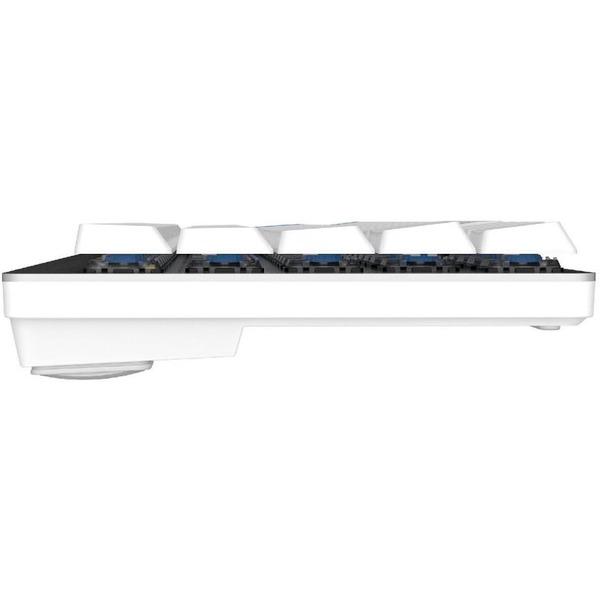 Клавиатура Dareu EK868 White-Blue