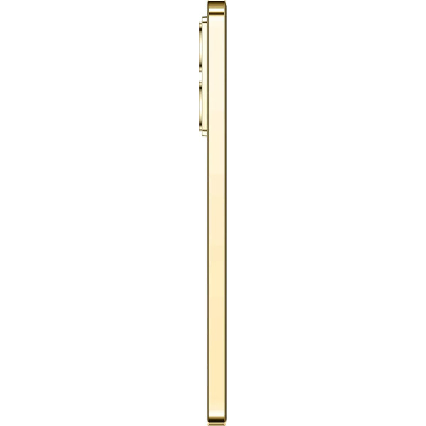 Смартфон Infinix Note 40 Pro 12Gb/256GB Titan Gold