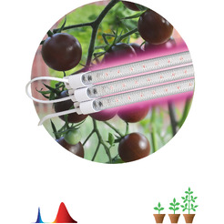 Фитосветильник ЭРА FITO-3х10W-LINE-RB90