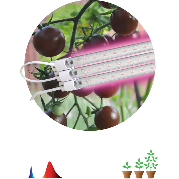 Фитосветильник ЭРА FITO-3х10W-LINE-RB90