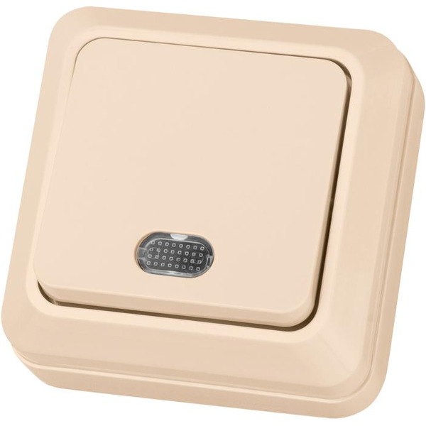 Выключатель TDM Electric Ладога SQ1801-0010