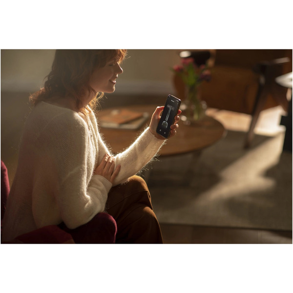 Пылесос Roborock Wet and Dry Vacuum Cleaner F25 Ace WD5M2A (WD5M2A512-02 )