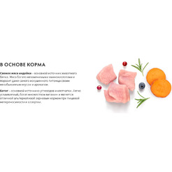 Сухой корм для собак Grandorf Adult Mini Breeds Fresh Turkey&Sweet Potato (1кг)