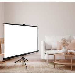 Экран CACTUS Triscreen CS-PST-124x221
