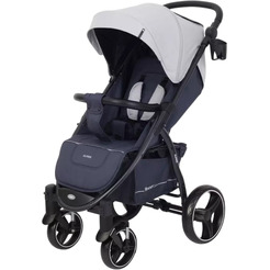Детская прогулочная коляска Rant Alpine RA450 (Grey)