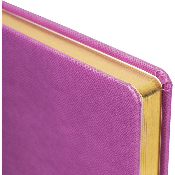 Ежедневник BRAUBERG недатированный Iguana 114456 (лиловый)