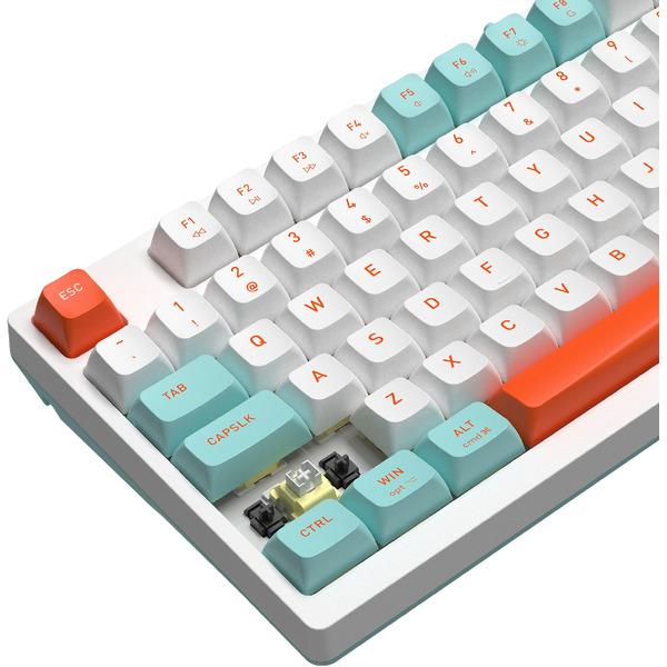 Клавиатура A4Tech Fstyler FS300 Panda Snorkeling