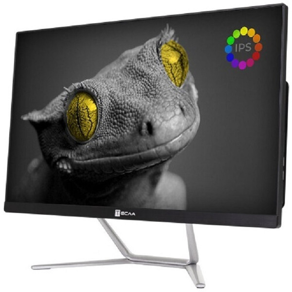 Моноблок Тесла Z24B 2416500