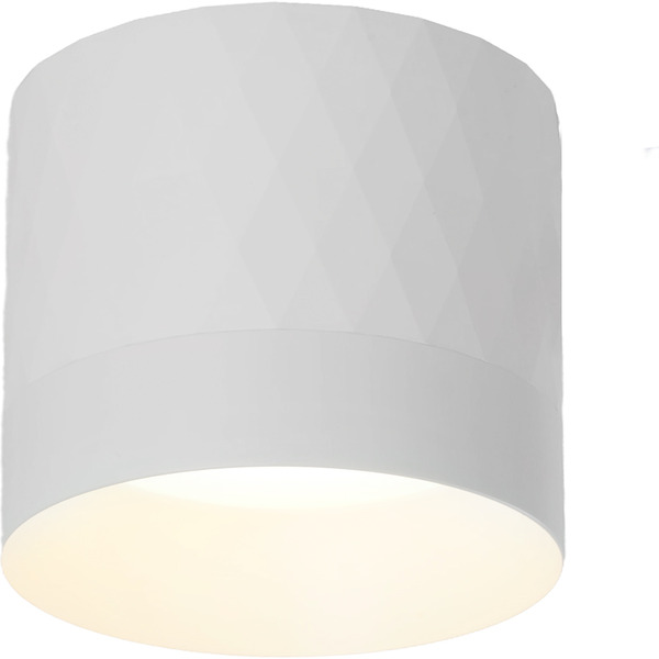 Светильник Feron HL388 48803