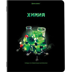 Тетради предметные BRAUBERG 404324 (КОМПЛЕКТ 12 ПРЕДМЕТОВ, 48л, глянцевый УФ-лак)