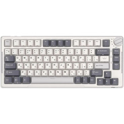 Клавиатура Royal Kludge RK-H81 White Night (Brown switch)