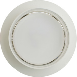 Светильник Feron DL500 51085