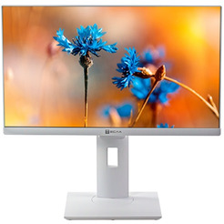 Моноблок Тесла P24WP 2116500