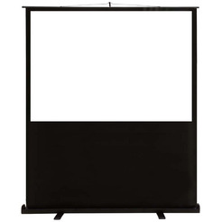 Экран Cactus FloorCompactExpert CS-PSFLCE-160X120