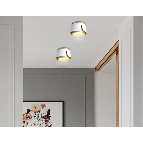 Светильник Ambrella Techno Spot TN71221 WH/GD (белый/золото)