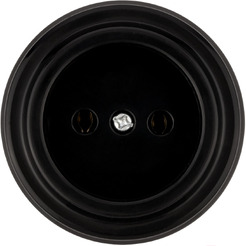 Розетка TDM Electric Виви SQ1820-1211 (черный)