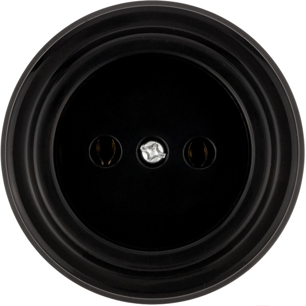 Розетка TDM Electric Виви SQ1820-1211 (черный)
