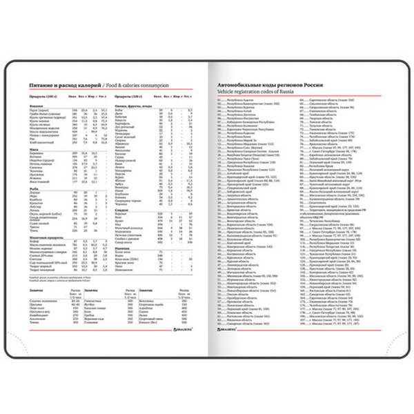 Ежедневник BRAUBERG недатированный Magnetic X 113281 (красный)