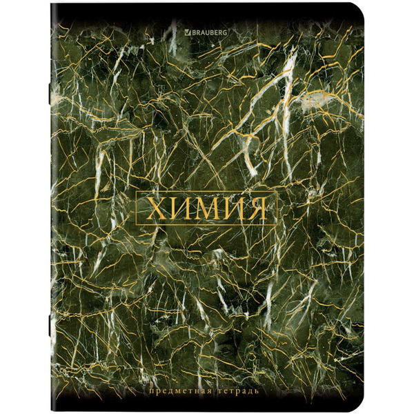 Тетради предметные BRAUBERG 404326 (КОМПЛЕКТ 12 ПРЕДМЕТОВ, 48л, SoftTouch, фольга)