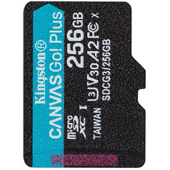 Карта памяти Kingston Canvas Go! Plus microSDXC 256GB (SDCG4/256GB)