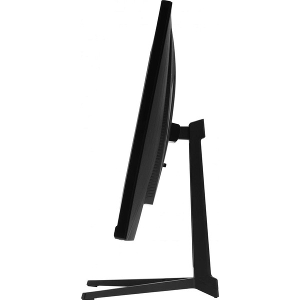 Игровой монитор SunWind SM-25FI401 (SM25SG01)