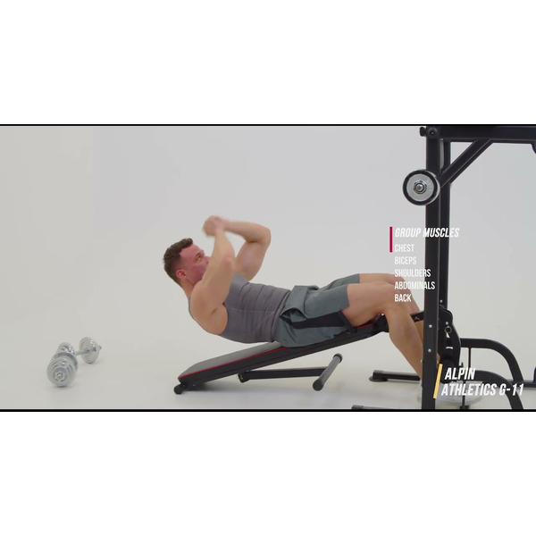 Турник с брусьями Alpin Athletics G-11