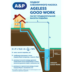 Скважинный насос A&P Ageless-3-3600/62-4/20-A