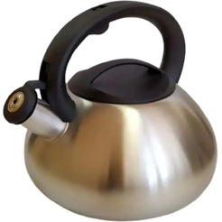 Чайник со свистком ASTIAT AST-1005