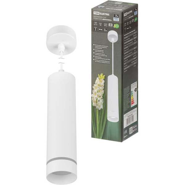 Спот TDM Electric Вероника SQ0356-0422