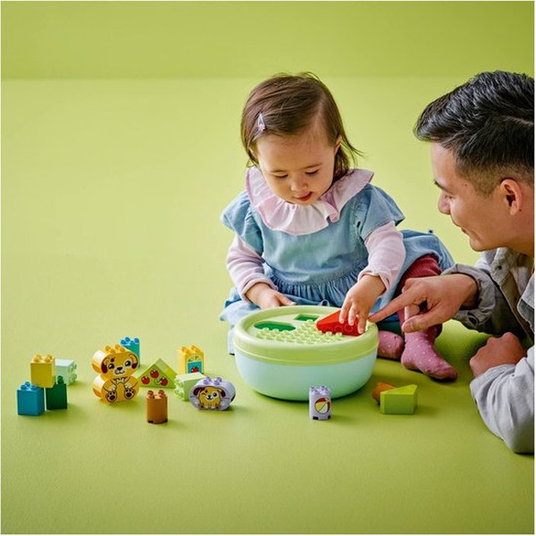 Конструктор Lego Duplo Сортировщик фигур: дом для щенков 10441