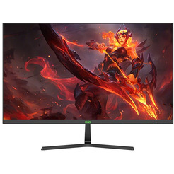 Монитор ELSA EA251S