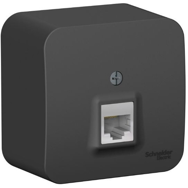 Розетка компьютерная Systeme Electric Blanca BLNIA045006