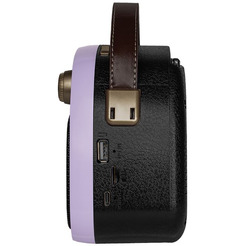 Радиоприемник Ritmix RPR-040 (лавандовый)