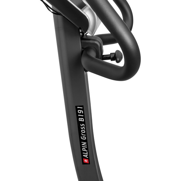 Велотренажер Alpin Gross B-191