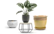 Кашпо, стойки, вазоны для цветов