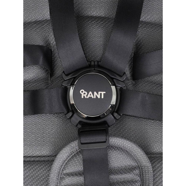 Детская универсальная коляска Rant Falcon 2 в 1 / RA097 (серый)