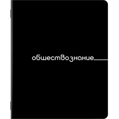 Тетради предметные BRAUBERG 405164 (КОМПЛЕКТ 12 ПРЕДМЕТОВ, 48л, обложка картон)