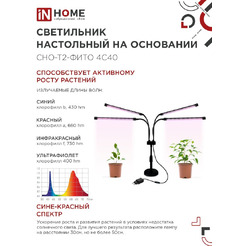 Светильник настольный на основании светодиодный IN HOME СНО-Т2-ФИТО 4С40 красно-синий (4690612053561)