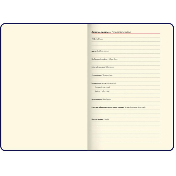 Ежедневник BRAUBERG 116233