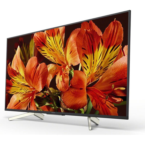 Телевизор SONY BRAVIA KD-49XF8596