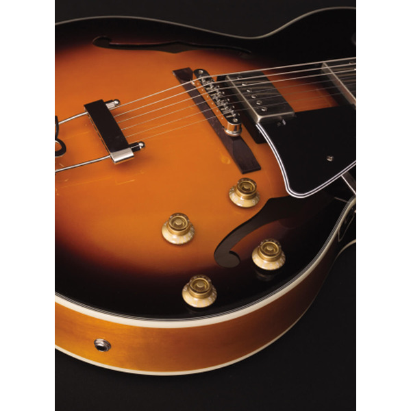 Электрогитара Cort Yorktown TAB