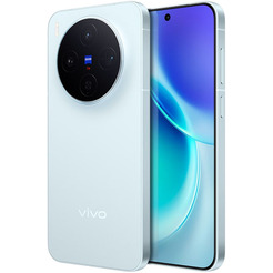 Смартфон vivo X300 V2515 12GB/256GB (голубой)