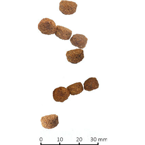 Сухой корм для кошек Farmina N&D Grain Free Cat Chicken & Pomegranate Neutered (1.5кг)