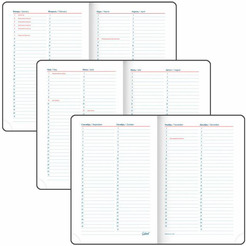 Ежедневник GALANT недатированный Ritter 114465 (красный)