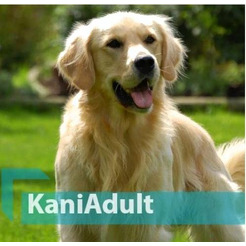 Сбалансированный корм для взрослых собак Quicker 13009 Kani Adult Lamb (с ягнёнком) 10кг