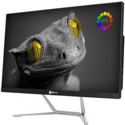 Моноблок Тесла Z24B 2108500