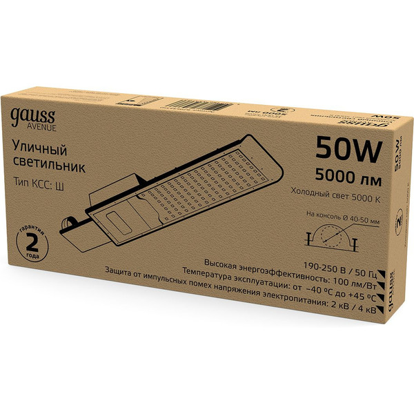 Светильник консольный Gauss 629534350