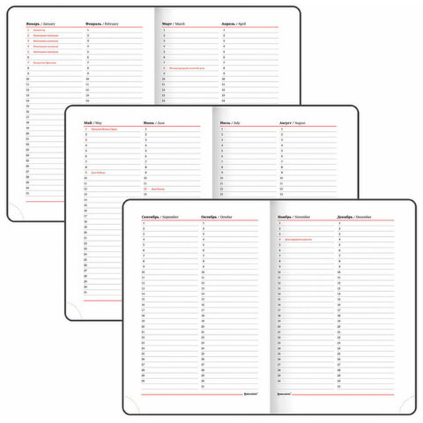 Ежедневник недатированный BRAUBERG Vista 112116