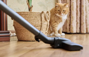 Рейтинг лучших пылесосов 2025 года